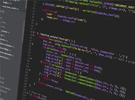 website development